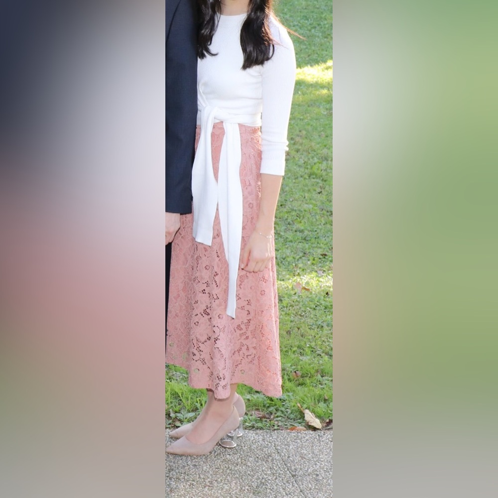 ZARA Beige-Pink/Rose Nude Guipure Lace A-line Midi Skirt - Picture 8 of 9